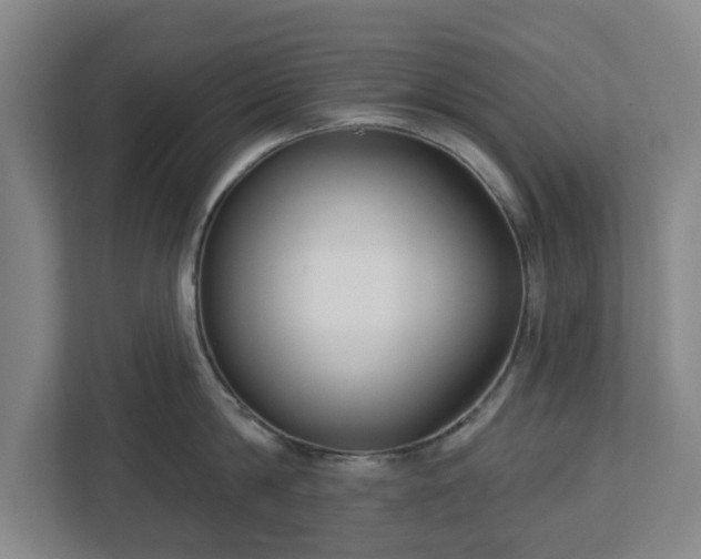 X0000113100814200909041225