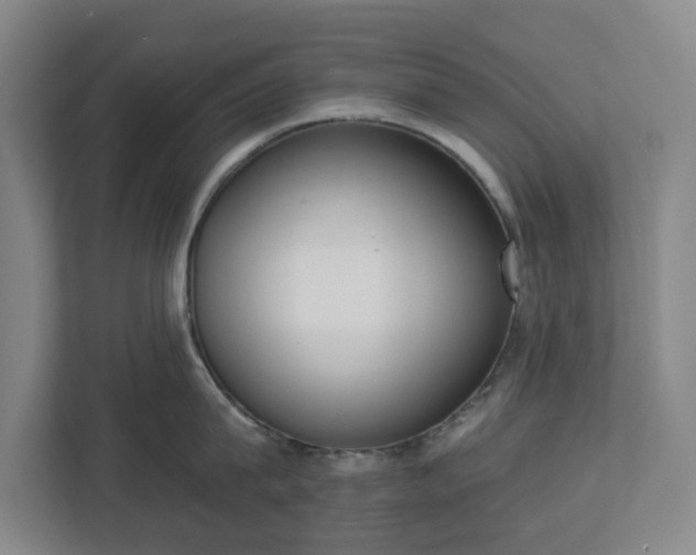 X0000113100815200909041225