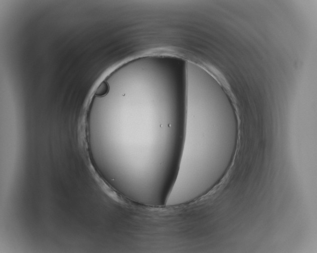 X0000113100816200909041225