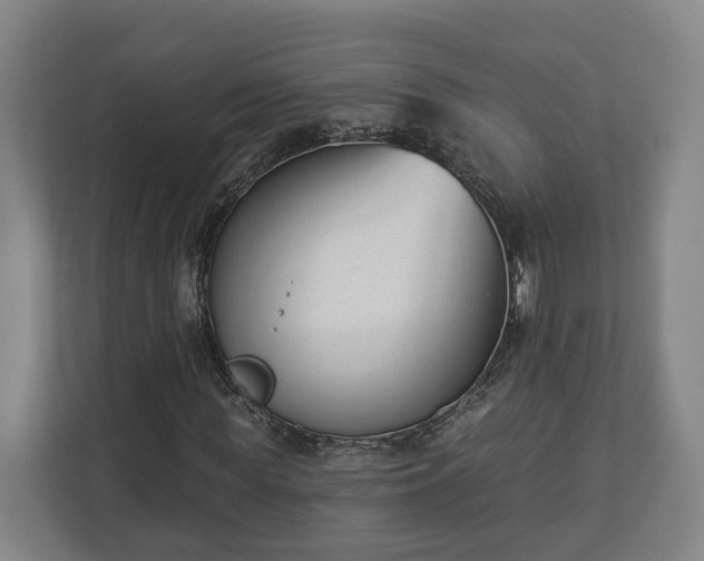 X0000113100819200909041224