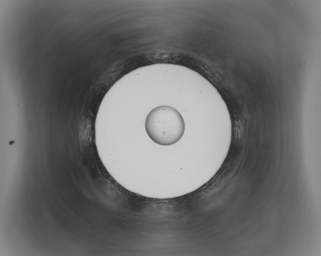 X0000113100820200909041224