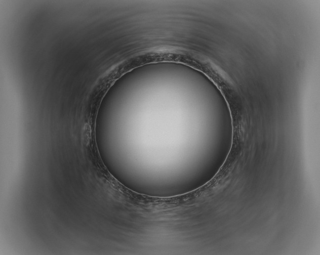 X0000113100821200909041224