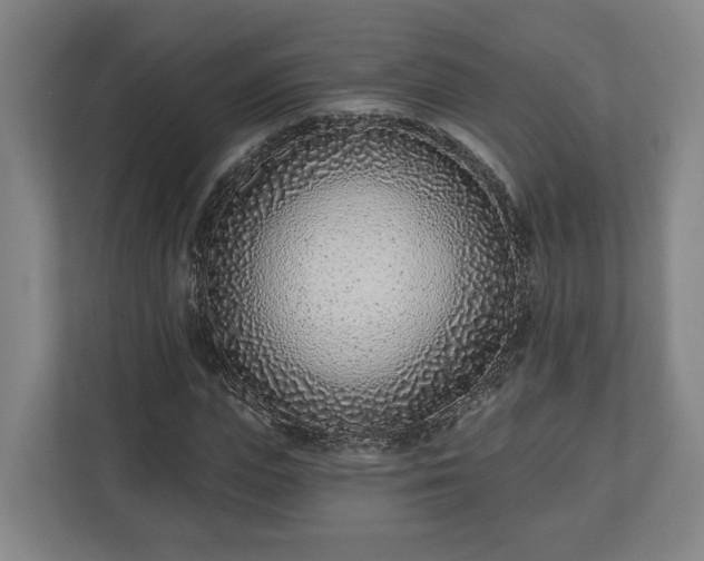 X0000113100823200909041224