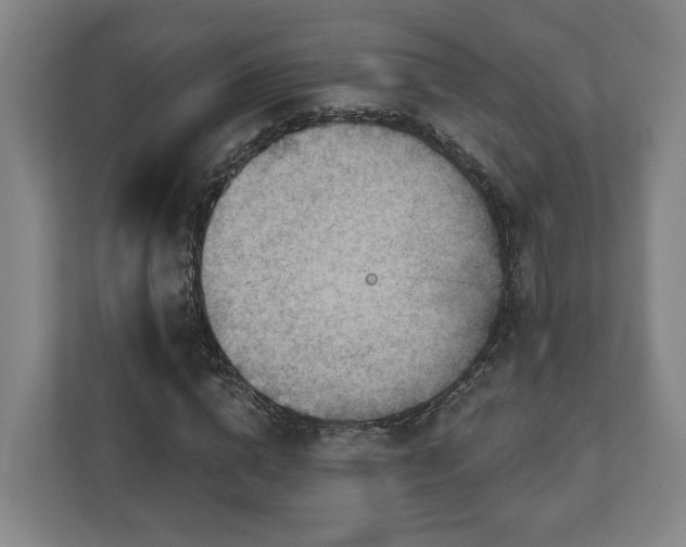 X0000113100824200909041224