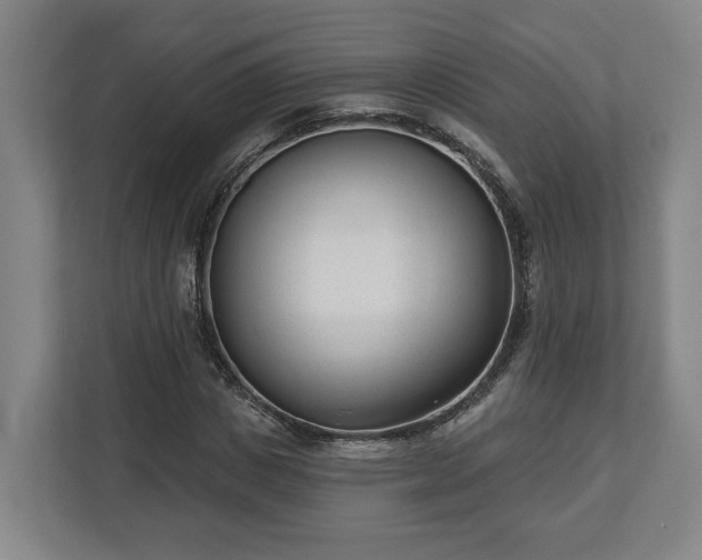 X0000113100825200909041224
