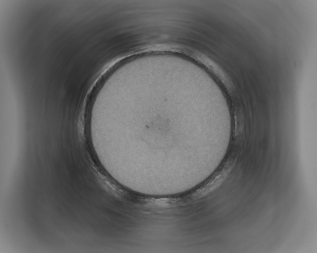 X0000113100828200909041224
