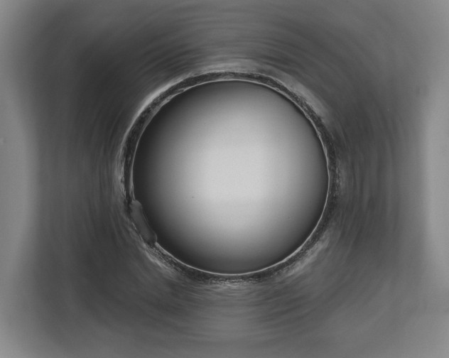 X0000113100830200909041224
