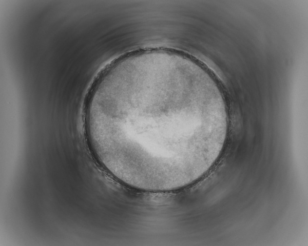 X0000113100832200909041224