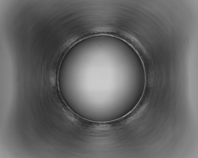 X0000113100833200909041224