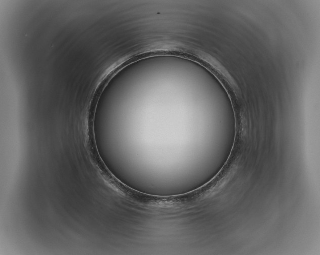 X0000113100834200909041224