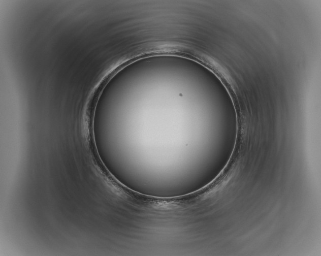 X0000113100835200909041224