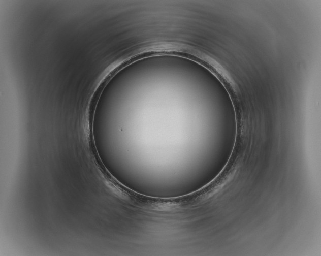 X0000113100837200909041224