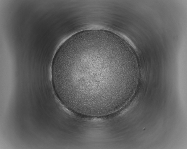 X0000113100839200909041224
