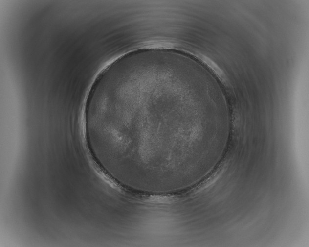 X0000113100840200909041224