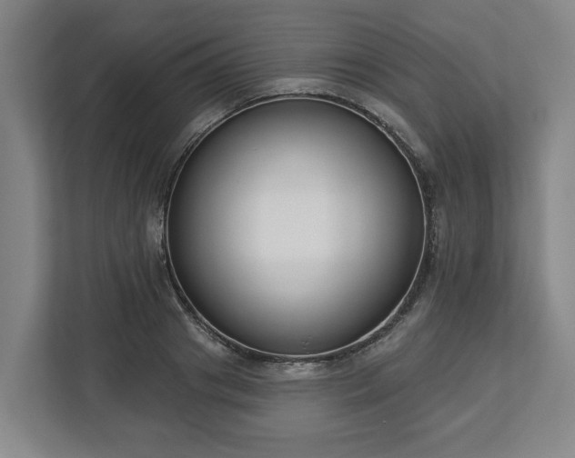 X0000113100841200909041224