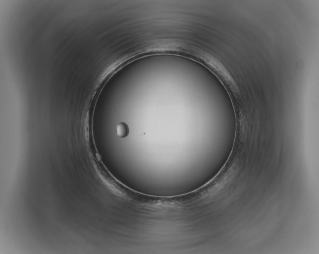 X0000113100842200909041224