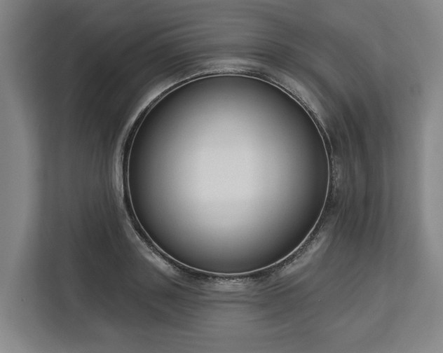 X0000113100843200909041224