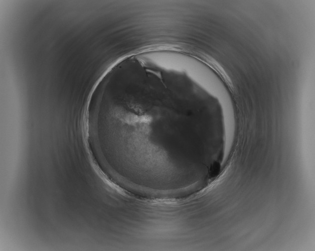 X0000113100844200909041224