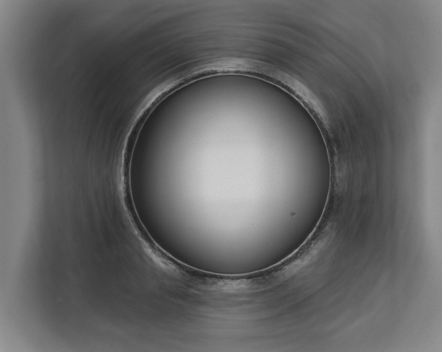 X0000113100845200909041224