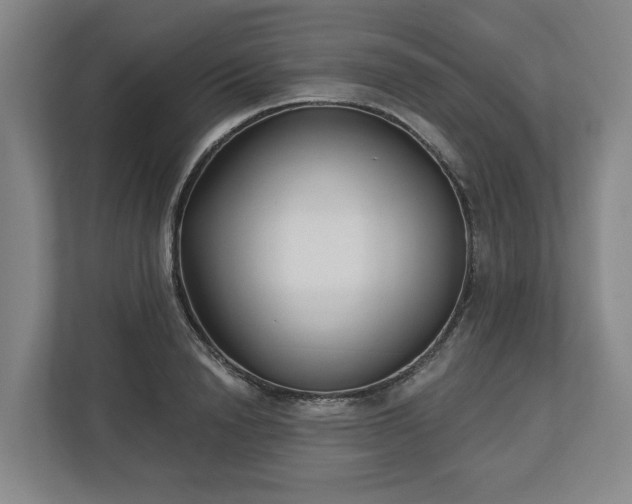 X0000113100846200909041224