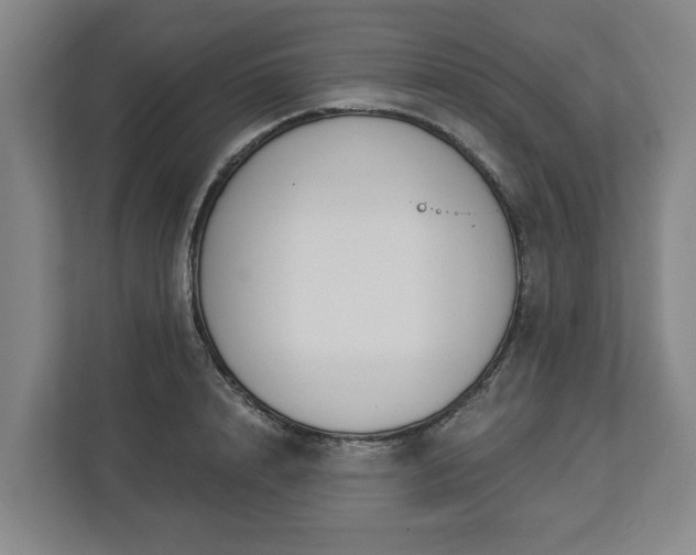 X0000113100848200909041224