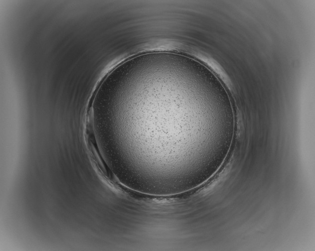 X0000113100850200909041224