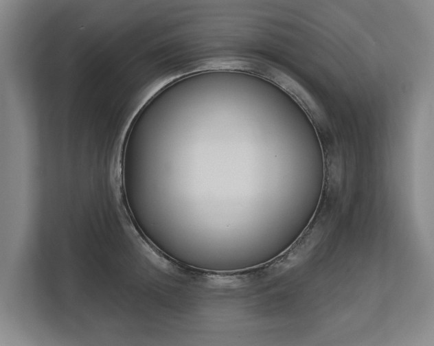 X0000113100852200909041224