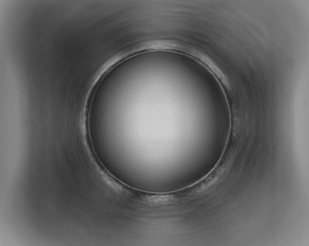 X0000113100853200909041224