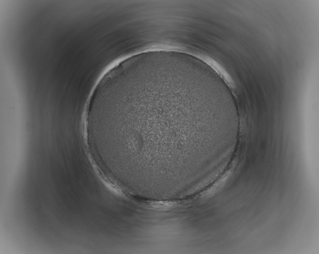 X0000113100854200909041224