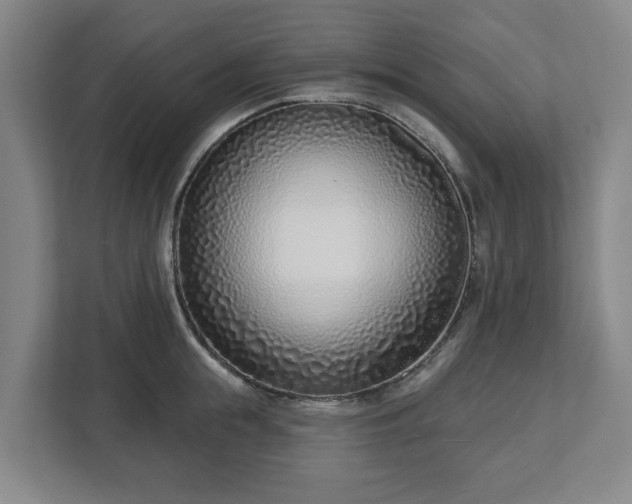 X0000113100855200909041224