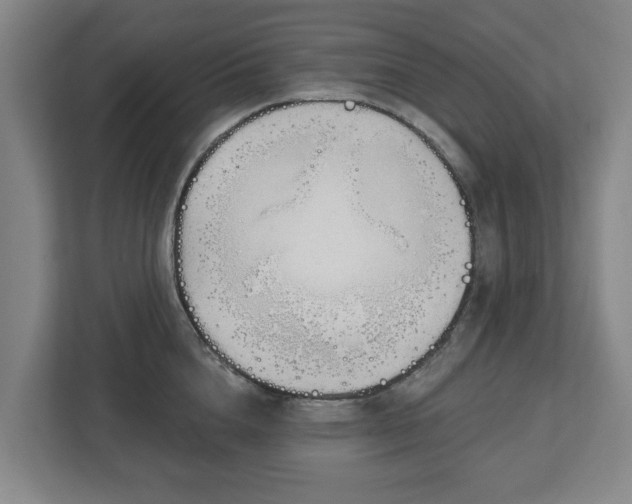 X0000113100856200909041225