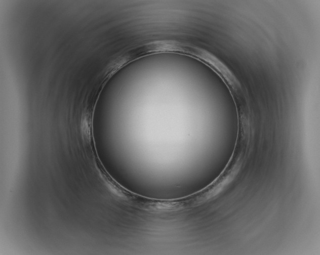 X0000113100857200909041225
