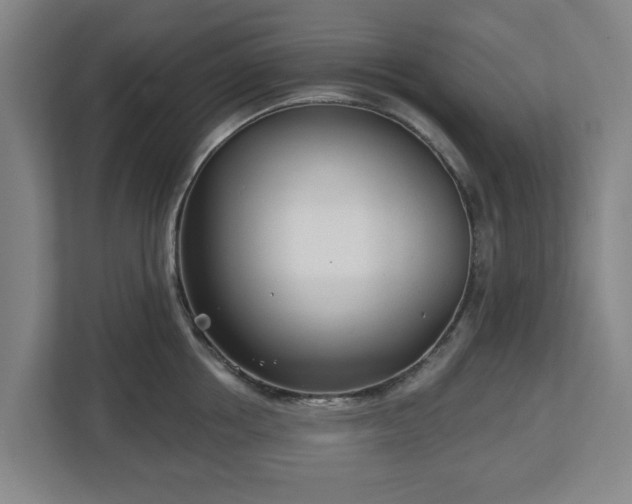 X0000113100858200909041225