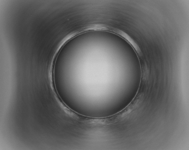 X0000113100861200909041225