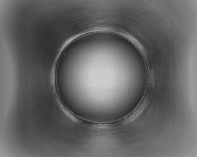 X0000113100862200909041225