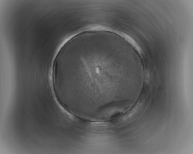 X0000113100863200909041225