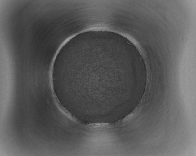 X0000113100864200909041225