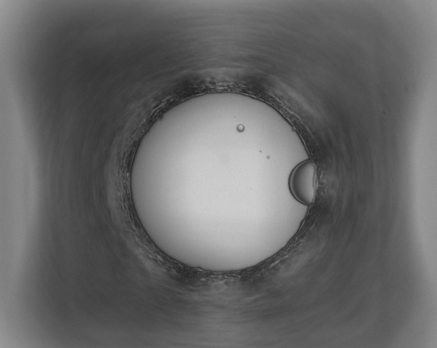 X0000113100865200909041224