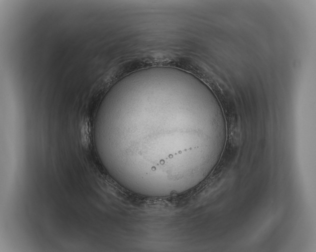 X0000113100866200909041224