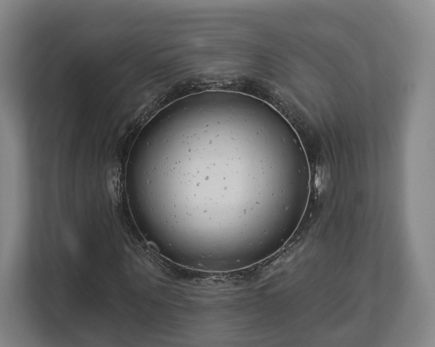X0000113100867200909041224