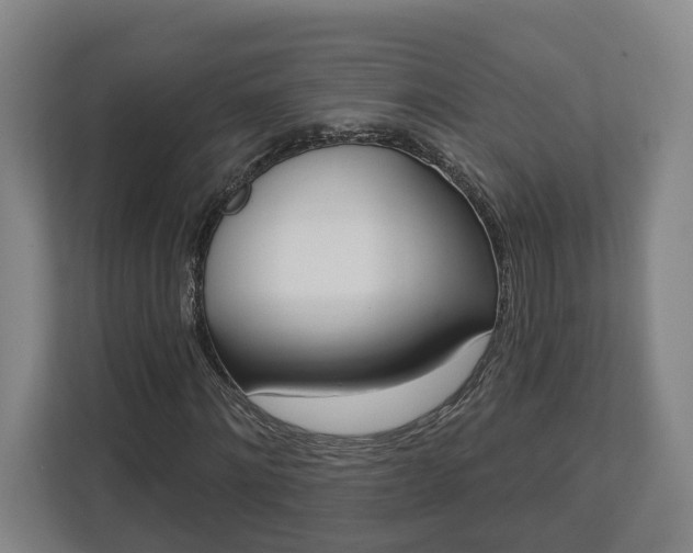 X0000113100868200909041224