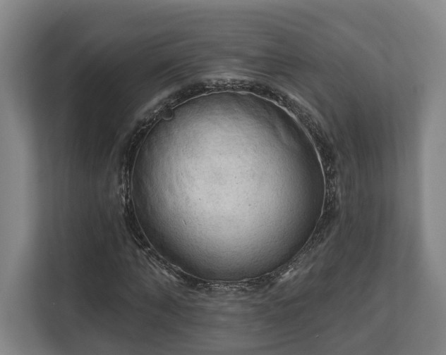 X0000113100870200909041224
