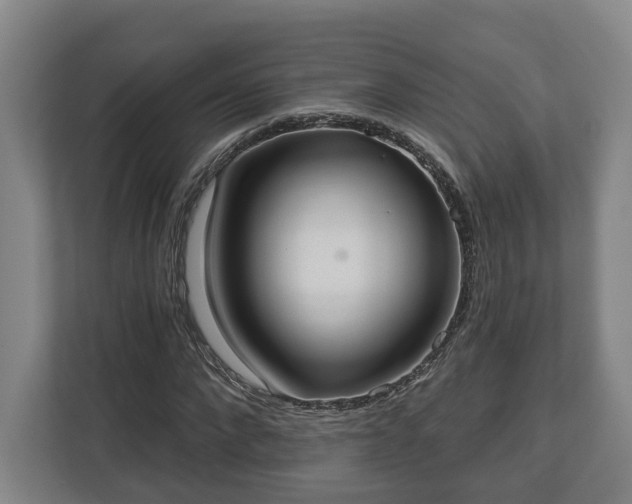 X0000113100872200909041224