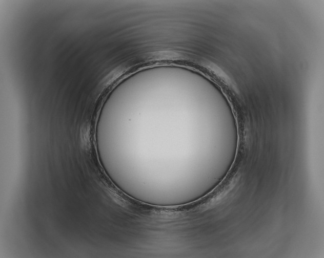 X0000113100873200909041224