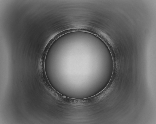 X0000113100875200909041224