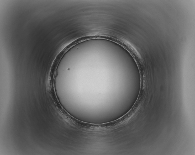 X0000113100876200909041224