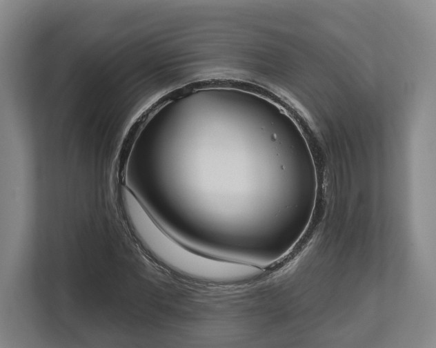 X0000113100877200909041224