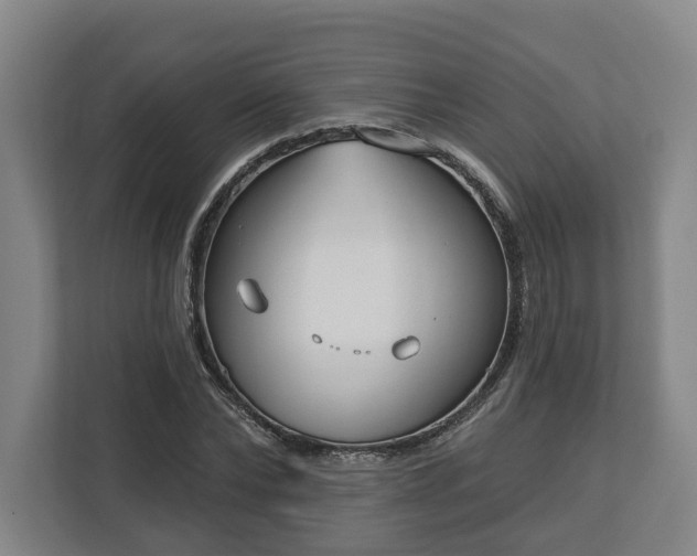X0000113100878200909041224