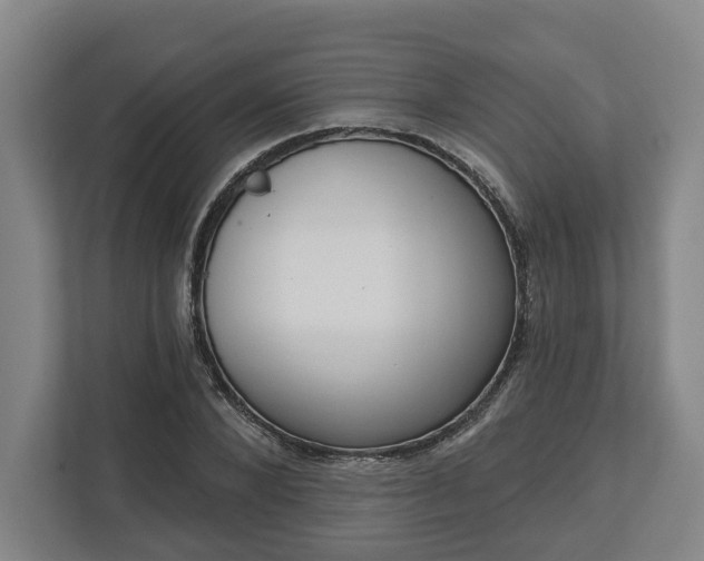 X0000113100880200909041224