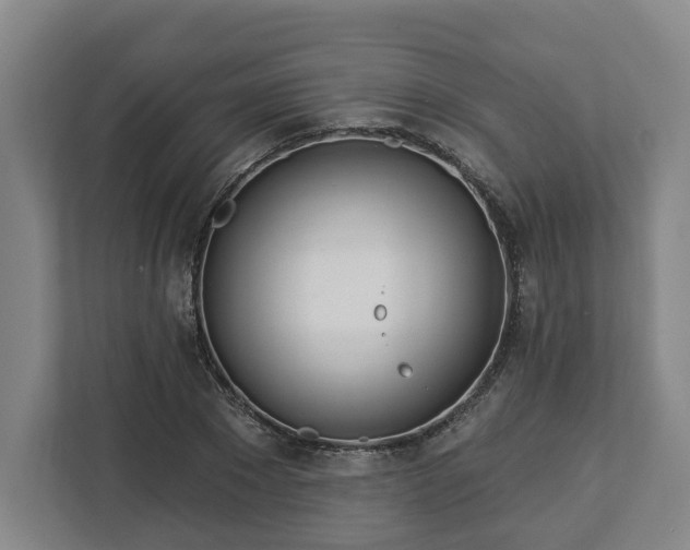 X0000113100881200909041224